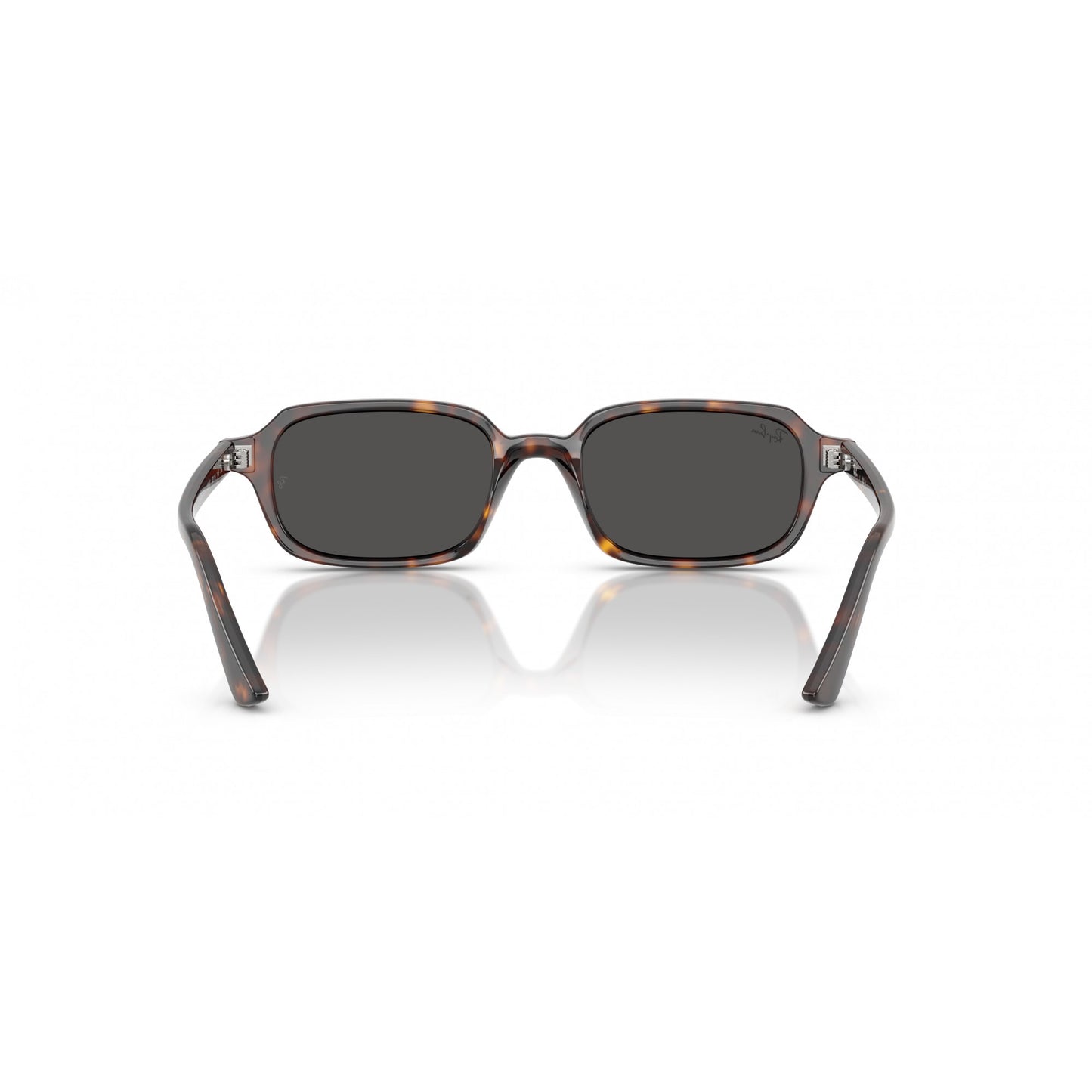 Ray-Ban 0RB4455