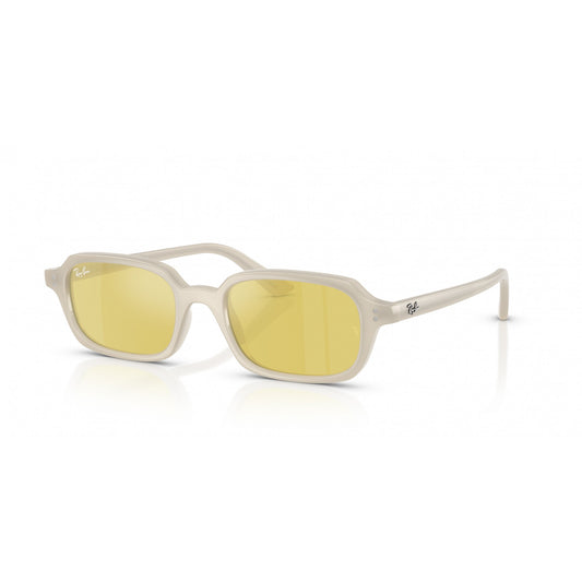 Ray-Ban 0RB4455