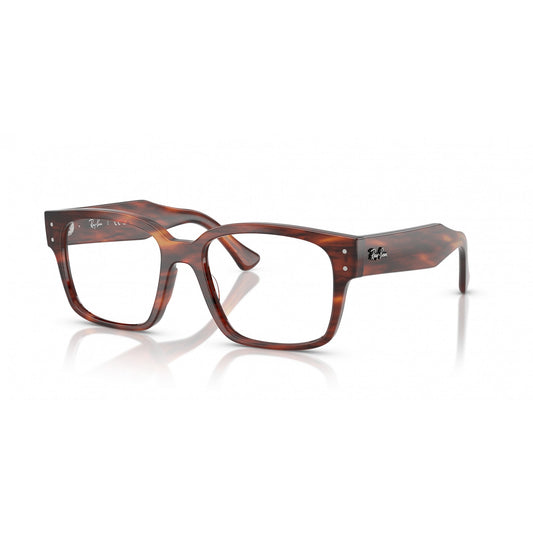 Ray-Ban 0RX7256