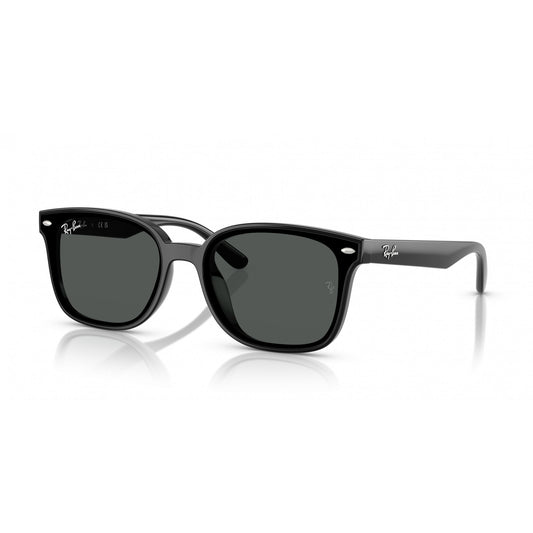 Ray-Ban 0RB4461D