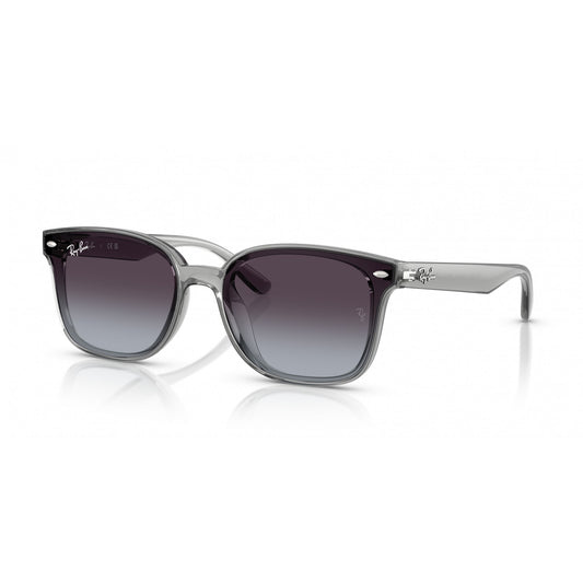 Ray-Ban 0RB4461D