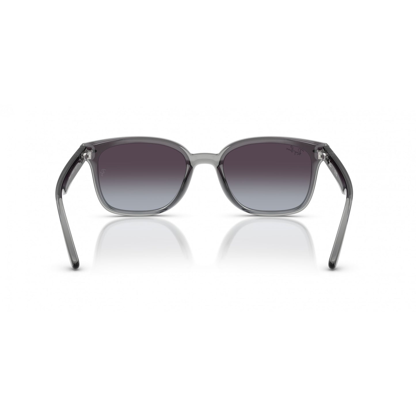 Ray-Ban 0RB4461D