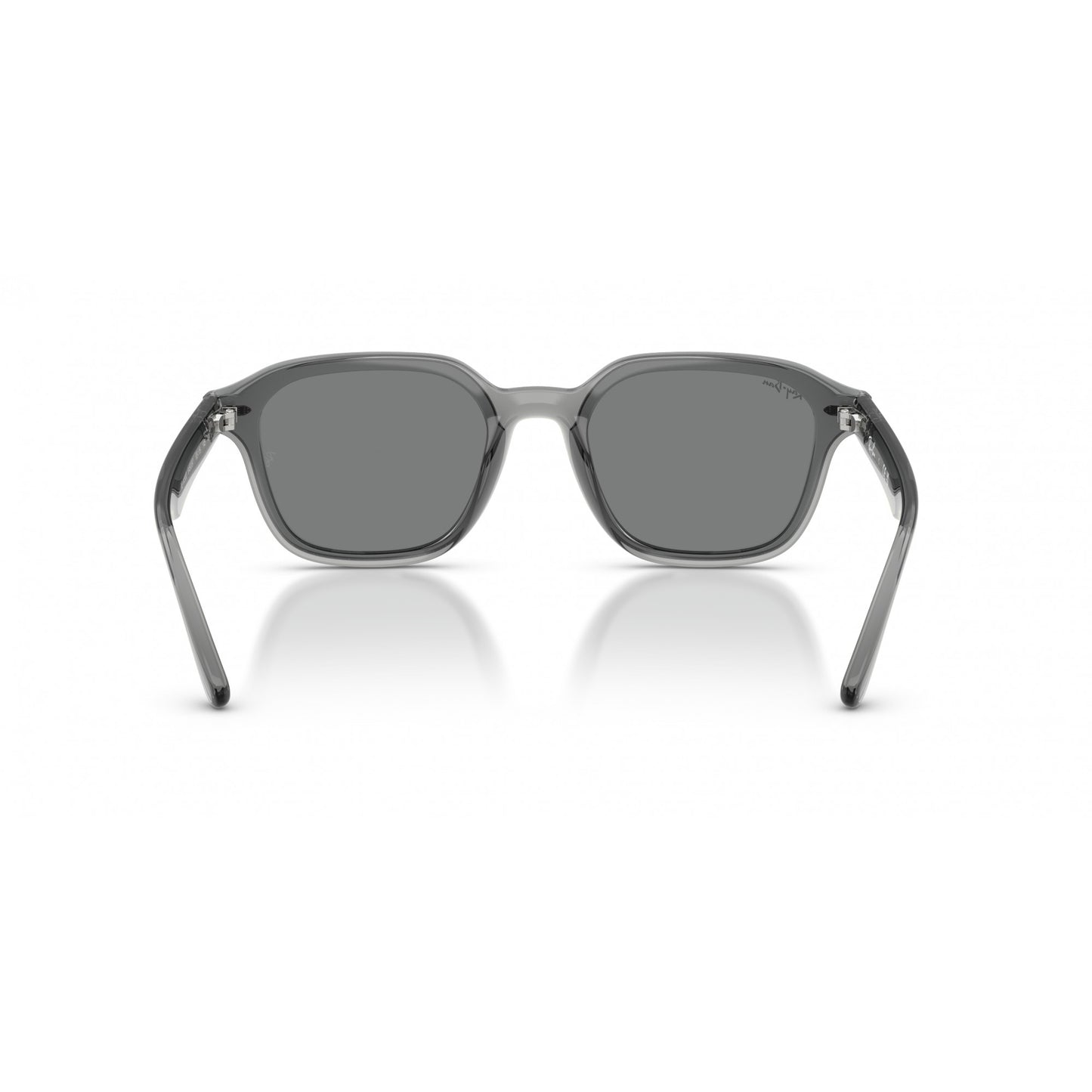 Ray-Ban 0RB4458D