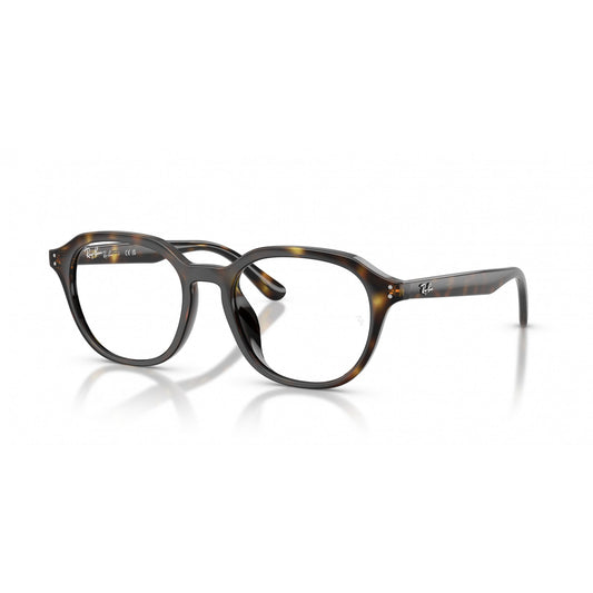 Ray-Ban 0RX7259D