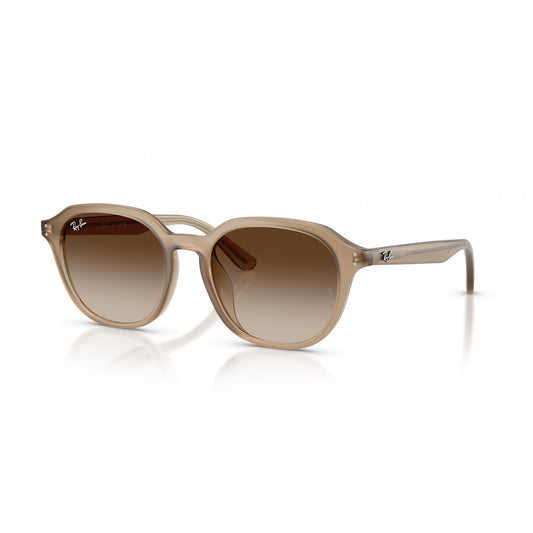 Ray-Ban 0RB4459D