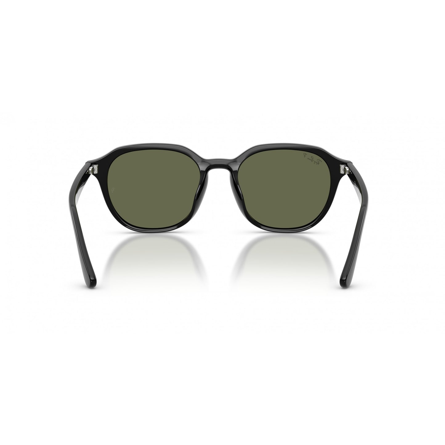 Ray-Ban 0RB4459D