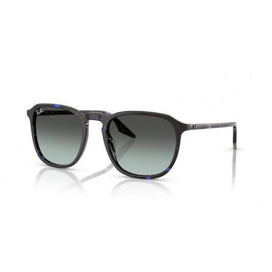 Ray-Ban 0RB2203