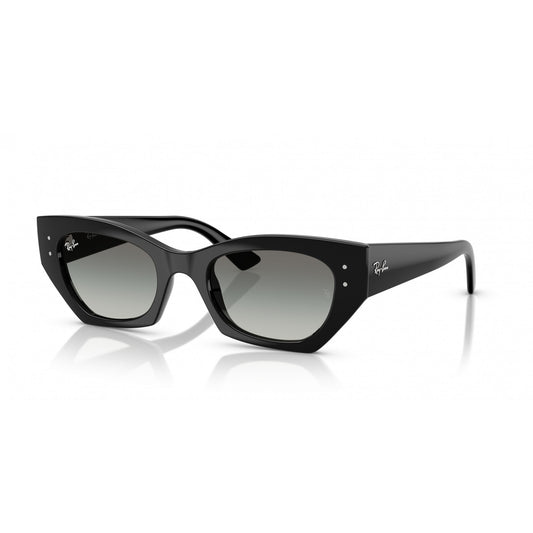 Ray-Ban 0RB4430