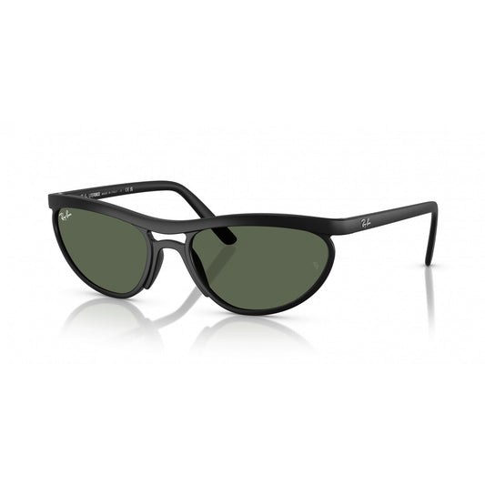 Ray-Ban 0RB4453