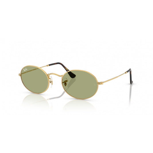 Ray-Ban 0RB3547