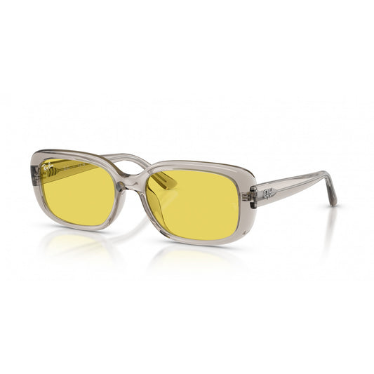 Ray-Ban 0RB4421D