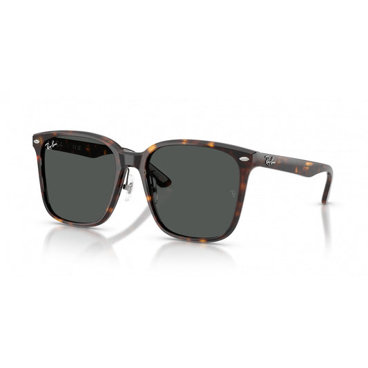 Ray-Ban 0RB2206D