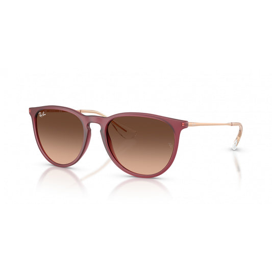 Ray-Ban 0RB4171