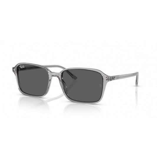 Ray-Ban 0RB2231