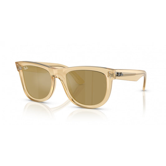 Ray-Ban 0RBR0502S