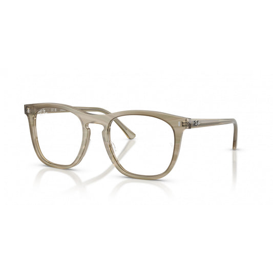 Ray-Ban 0RX2210V