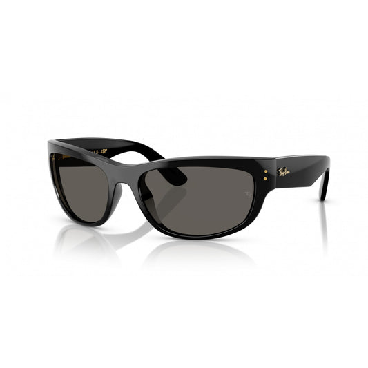 Ray-Ban 0RB2289