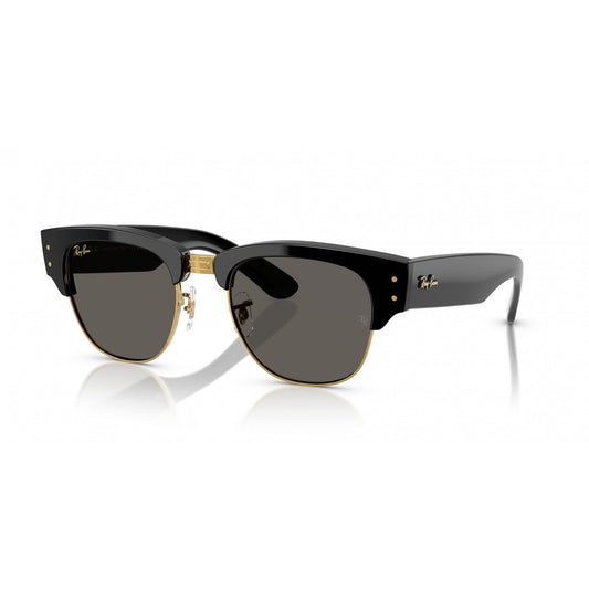 Ray-Ban 0RB0316S