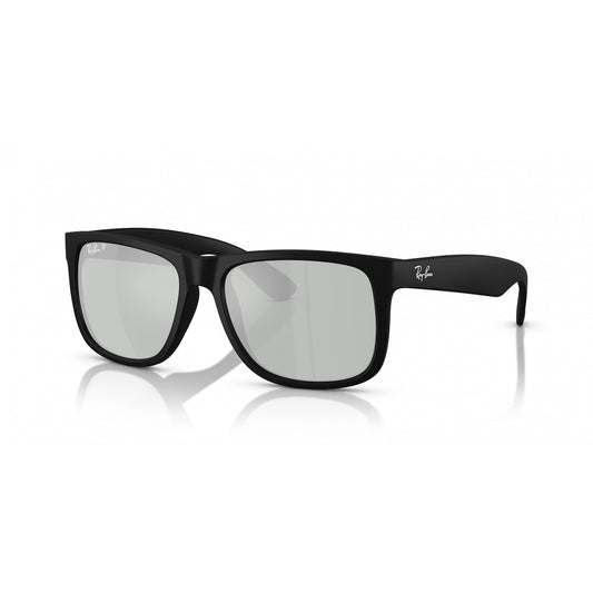 Ray-Ban 0RB4165