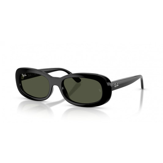 Ray-Ban 0RB2221