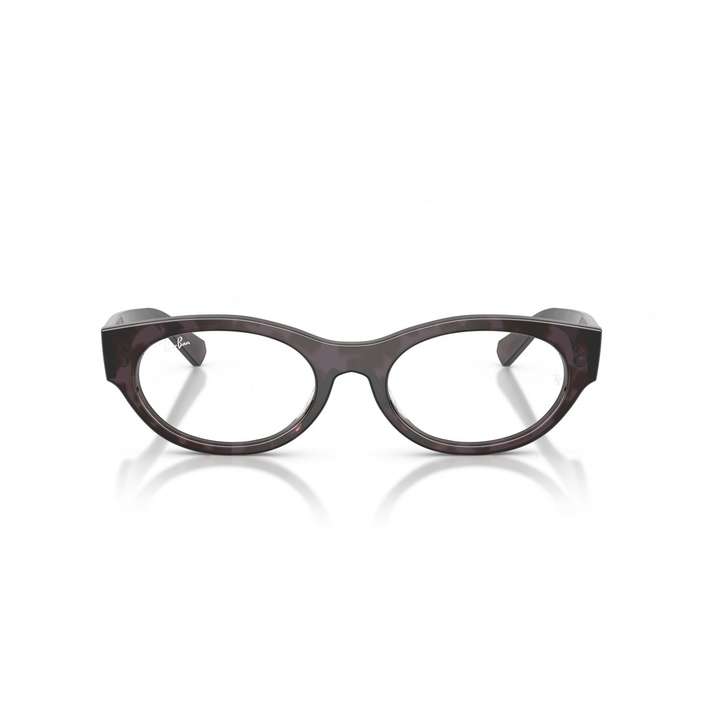 Ray-Ban 0RX5447