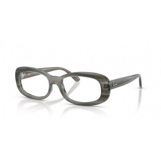 Ray-Ban 0RX2221V