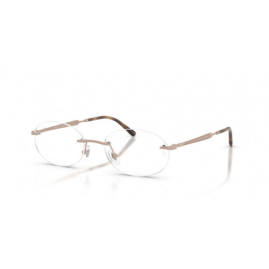 Ray-Ban 0RX3767V