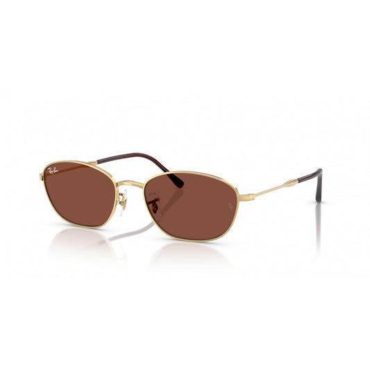 Ray-Ban 0RB3749