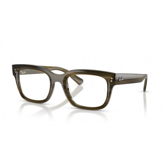 Ray-Ban 0RX7217