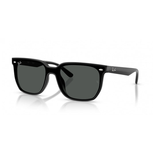 Ray-Ban 0RB4466D