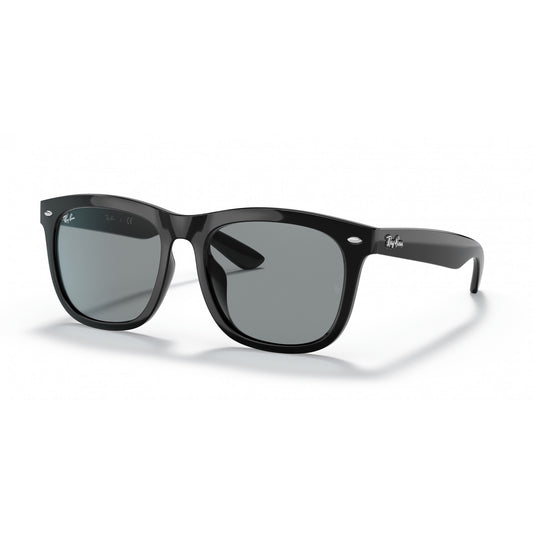 Ray-Ban 0RB4260D