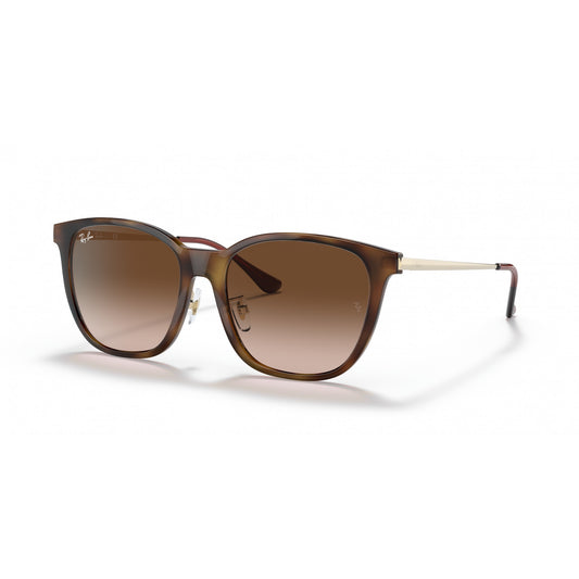 Ray-Ban 0RB4333D
