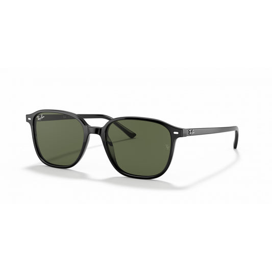 Ray-Ban 0RB2193