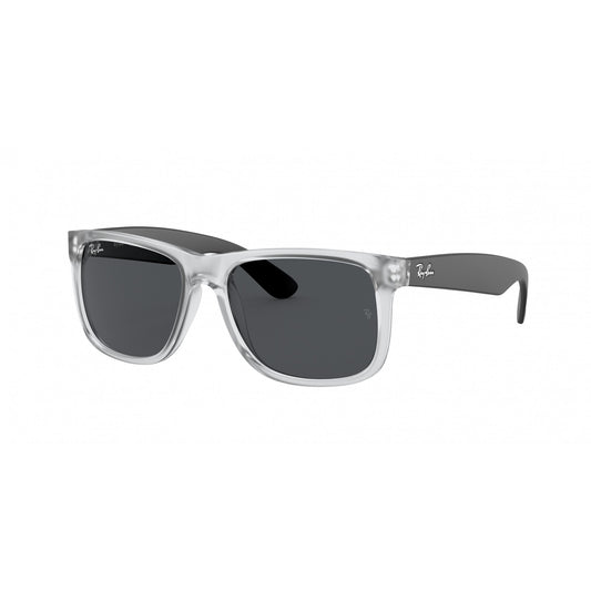 Ray-Ban 0RB4165