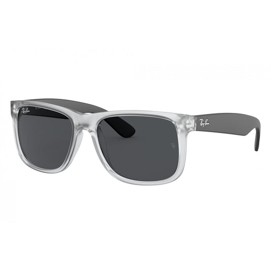 Ray-Ban 0RB4165