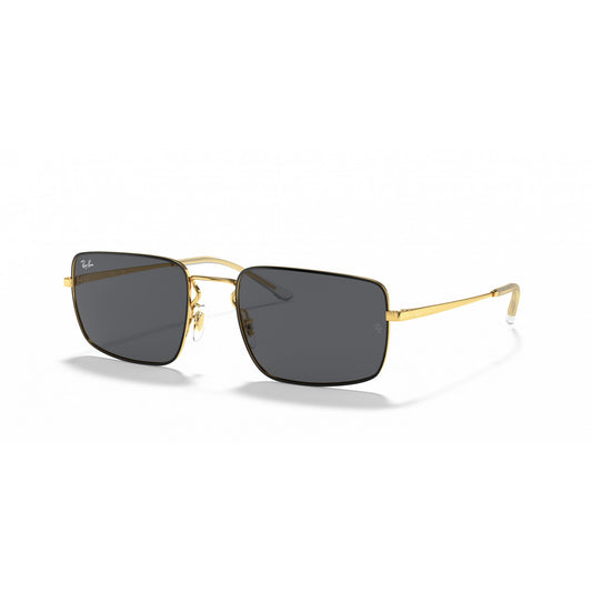 Ray-Ban 0RB3669