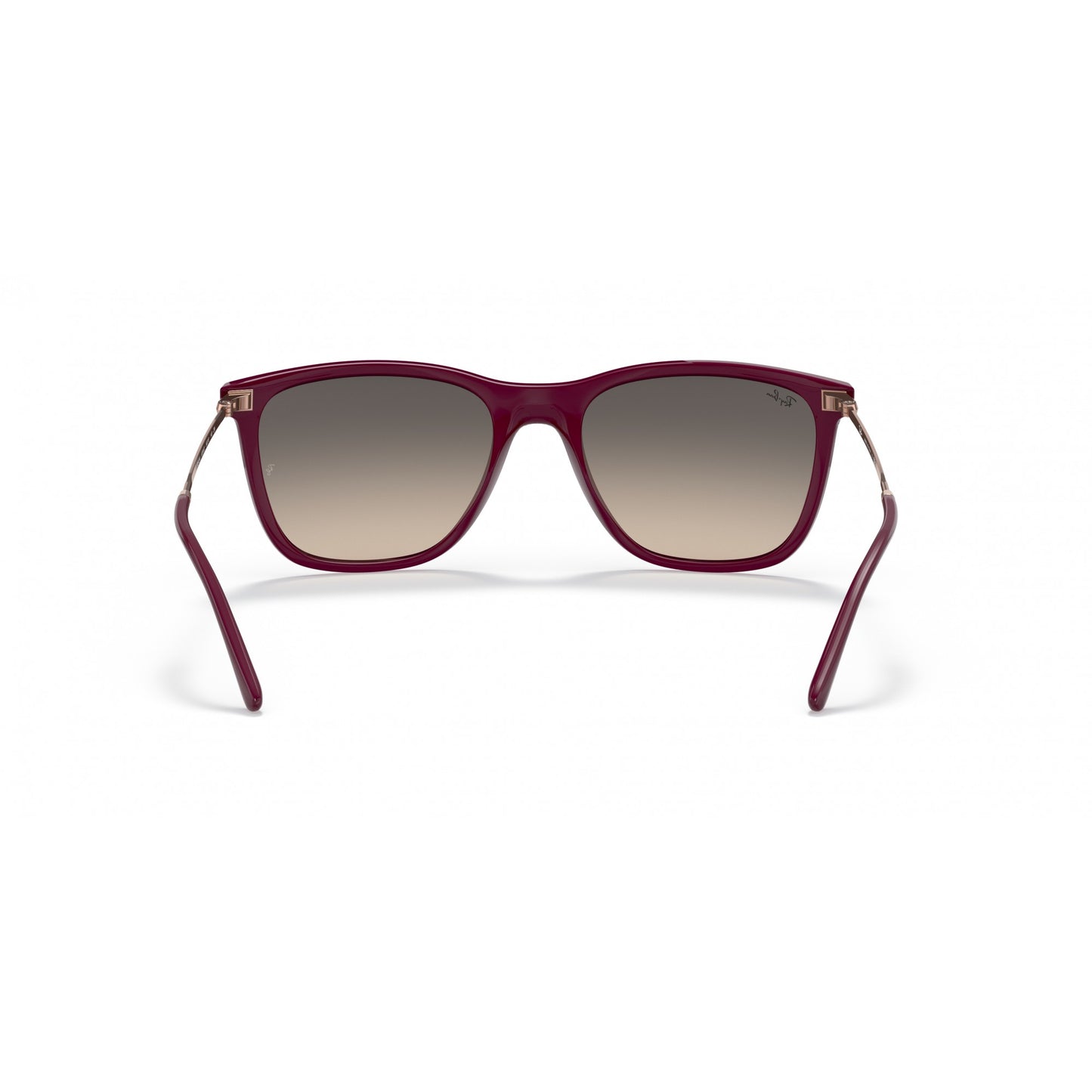 Ray-Ban 0RB4344