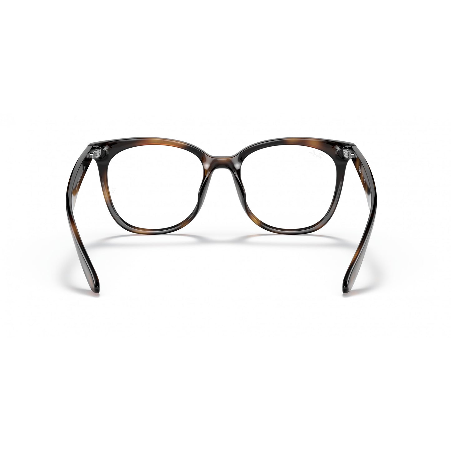 Ray-Ban 0RX4379VD