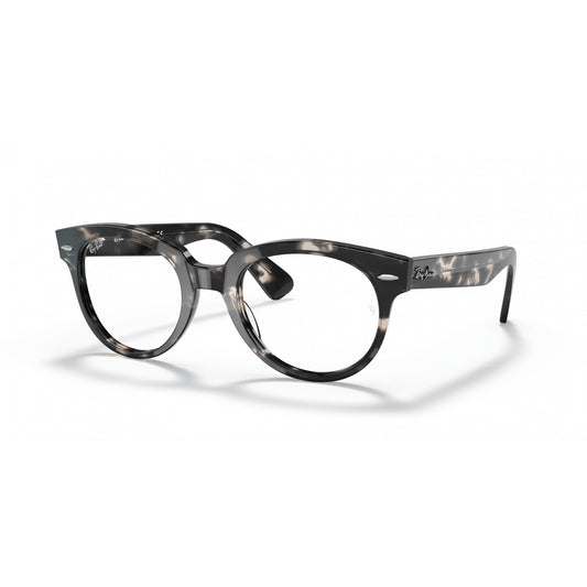 Ray-Ban 0RX2199V