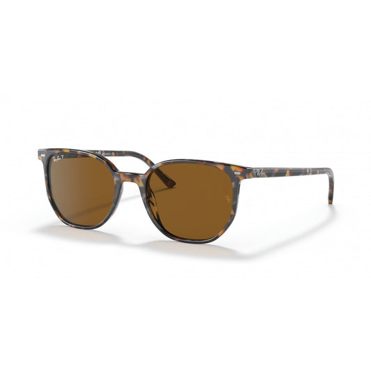 Ray-Ban 0RB2197