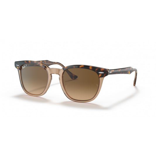 Ray-Ban 0RB2298