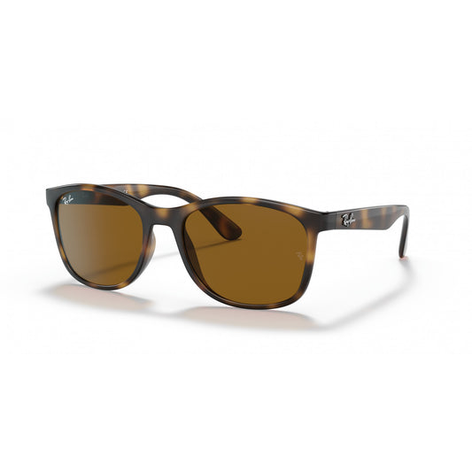 Ray-Ban 0RB4374