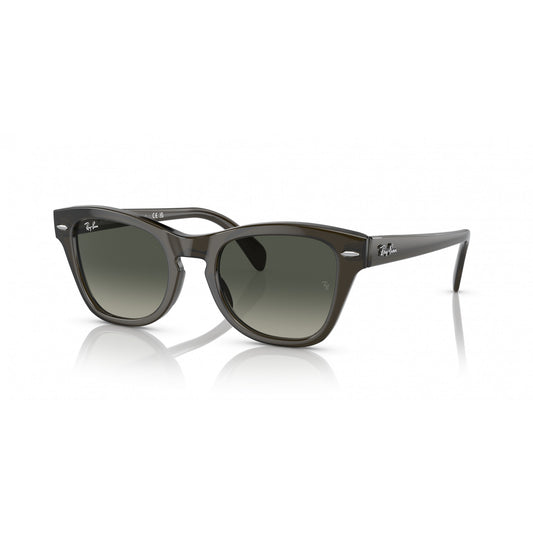 Ray-Ban 0RB0707S