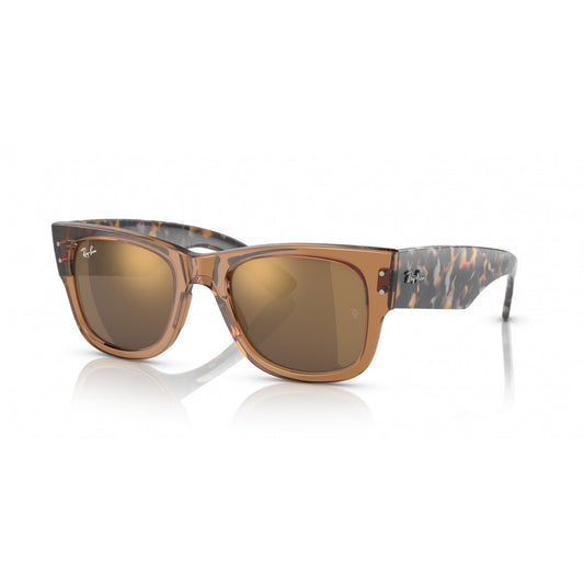 Ray-Ban 0RB0840S