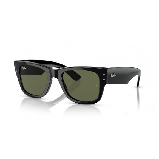 Ray-Ban 0RB0840S