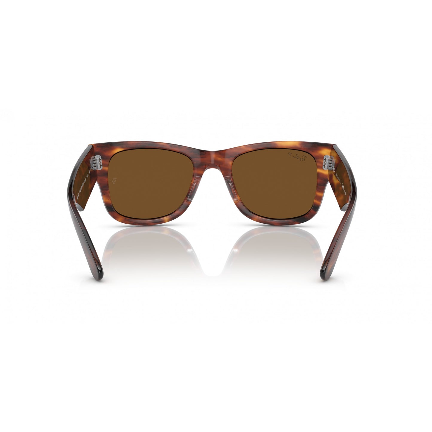 Ray-Ban 0RB0840S