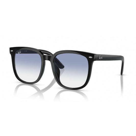 Ray-Ban 0RB4401D