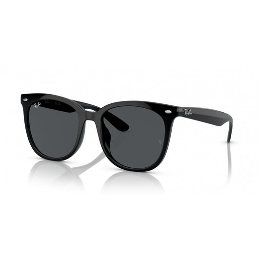 Ray-Ban 0RB4379D