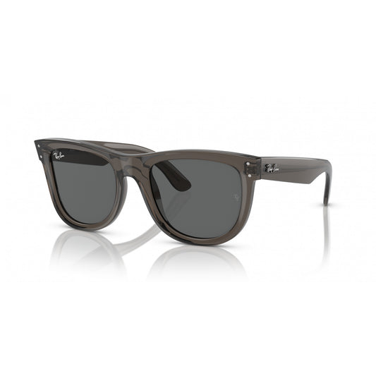 Ray-Ban 0RBR0502S