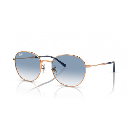 Ray-Ban 0RB3809